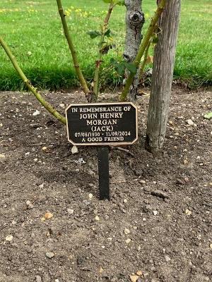PLAQUE WITH PRONG