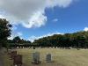 seaford_cemetery 4